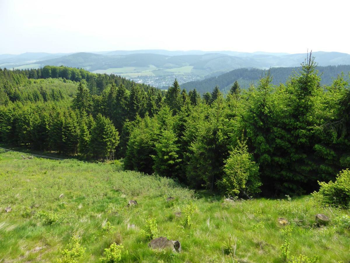 Kueken Winterberg Leilighet Eksteriør bilde