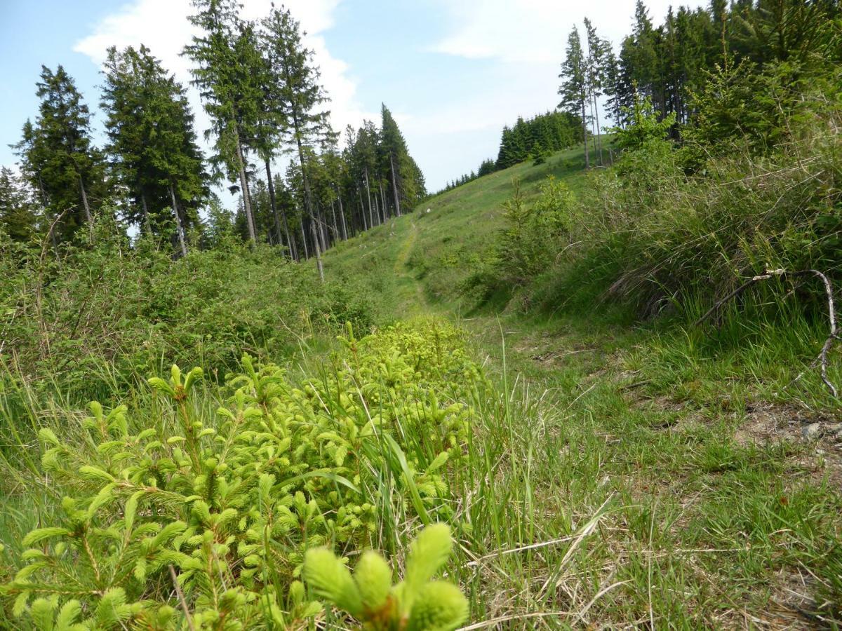 Kueken Winterberg Leilighet Eksteriør bilde